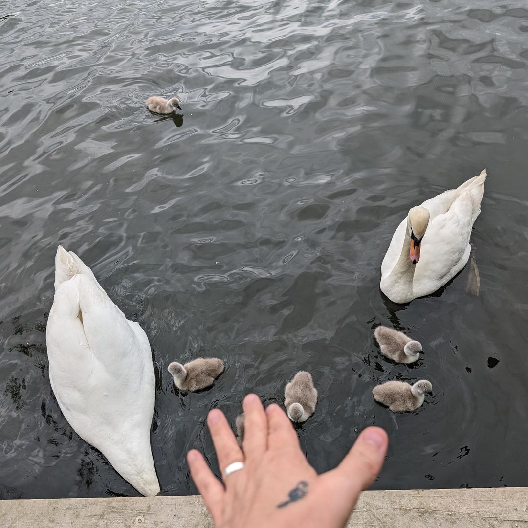 ¿Qué es la mediumnidad?